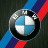 Sponsor oficial intalniri BWM